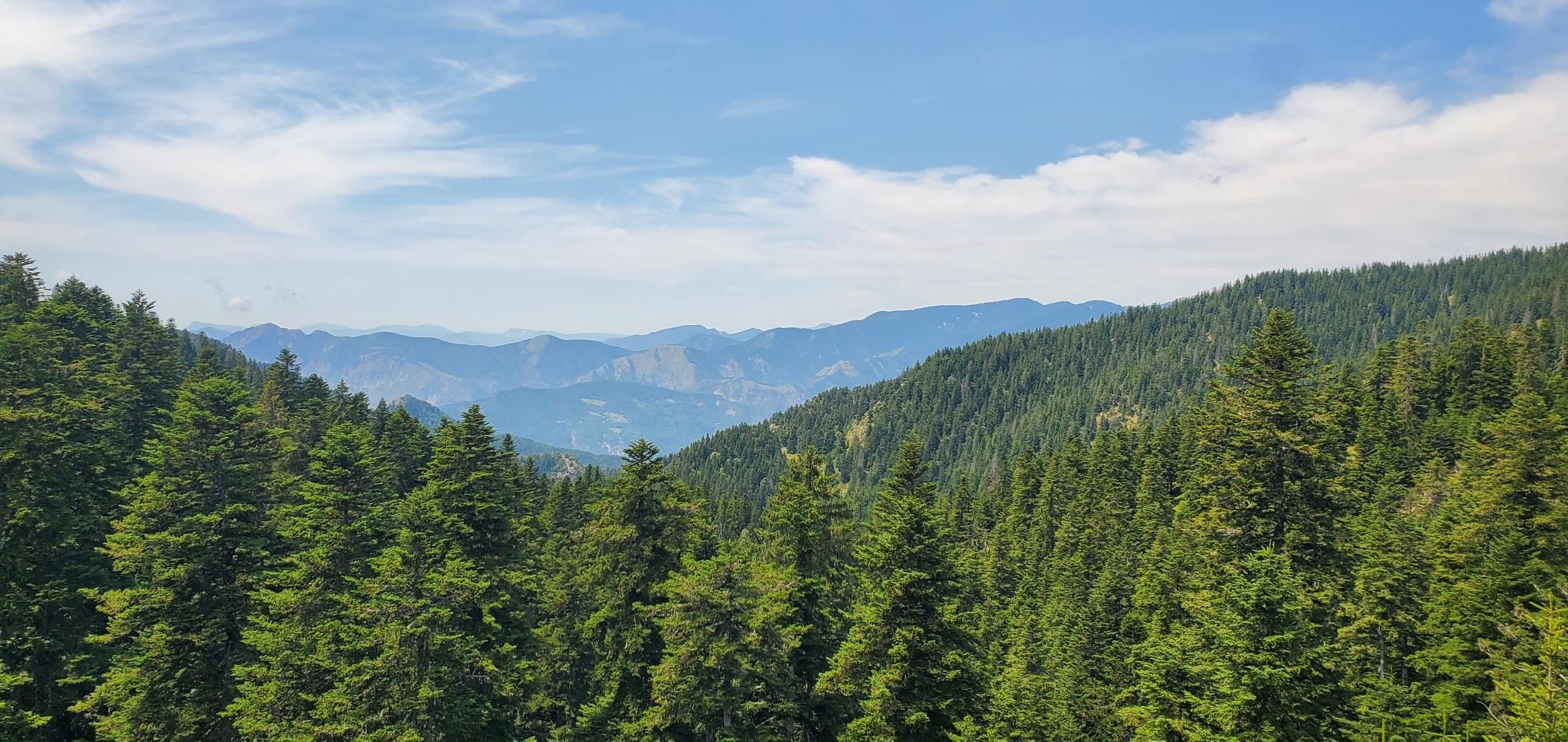 Vue col de Turini